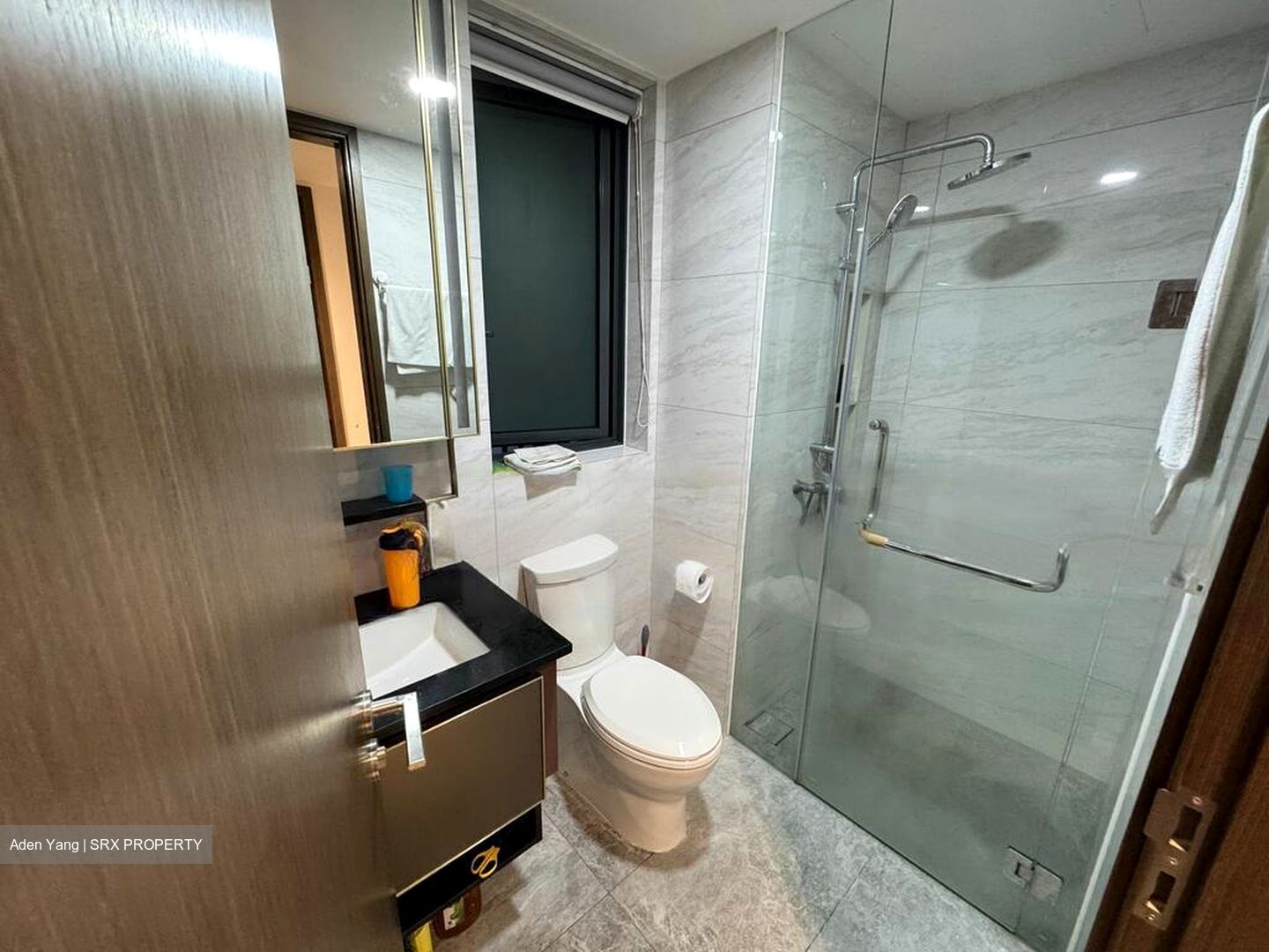 Normanton Park (D5), Apartment #466818801